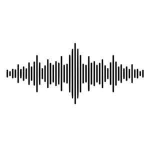 Audio de integración