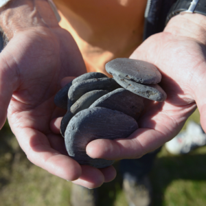 Objeto de peso (piedra)